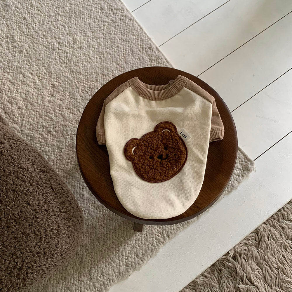 Bear Patch Raglan Sweatshirt (4 colors)