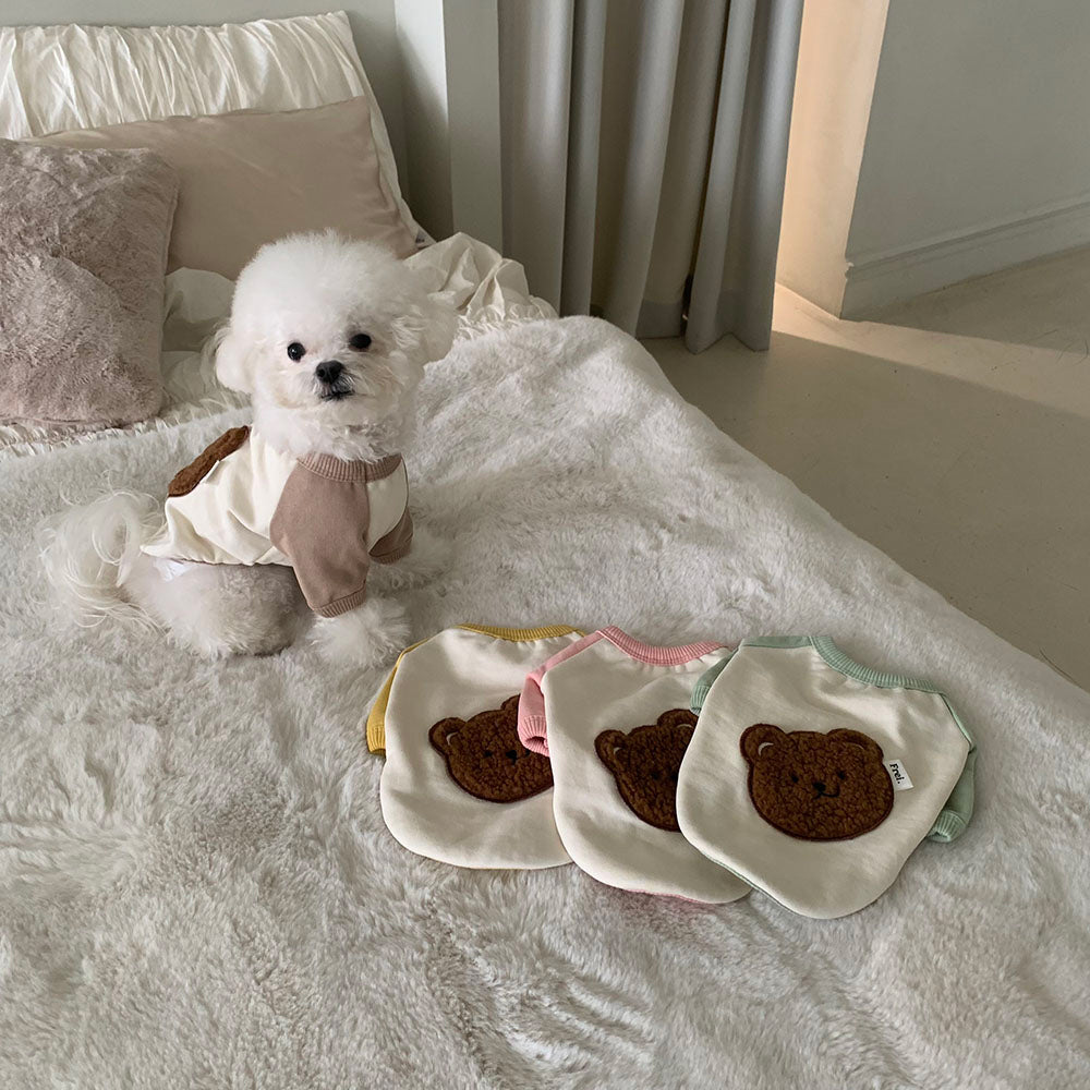 Bear Patch Raglan Sweatshirt (4 colors)