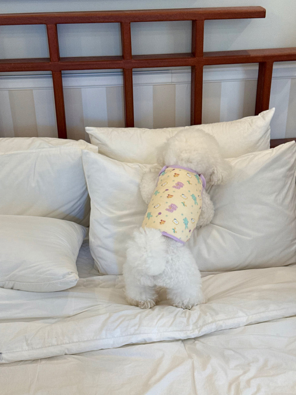 Toy Bebe Vest (2 colors)
