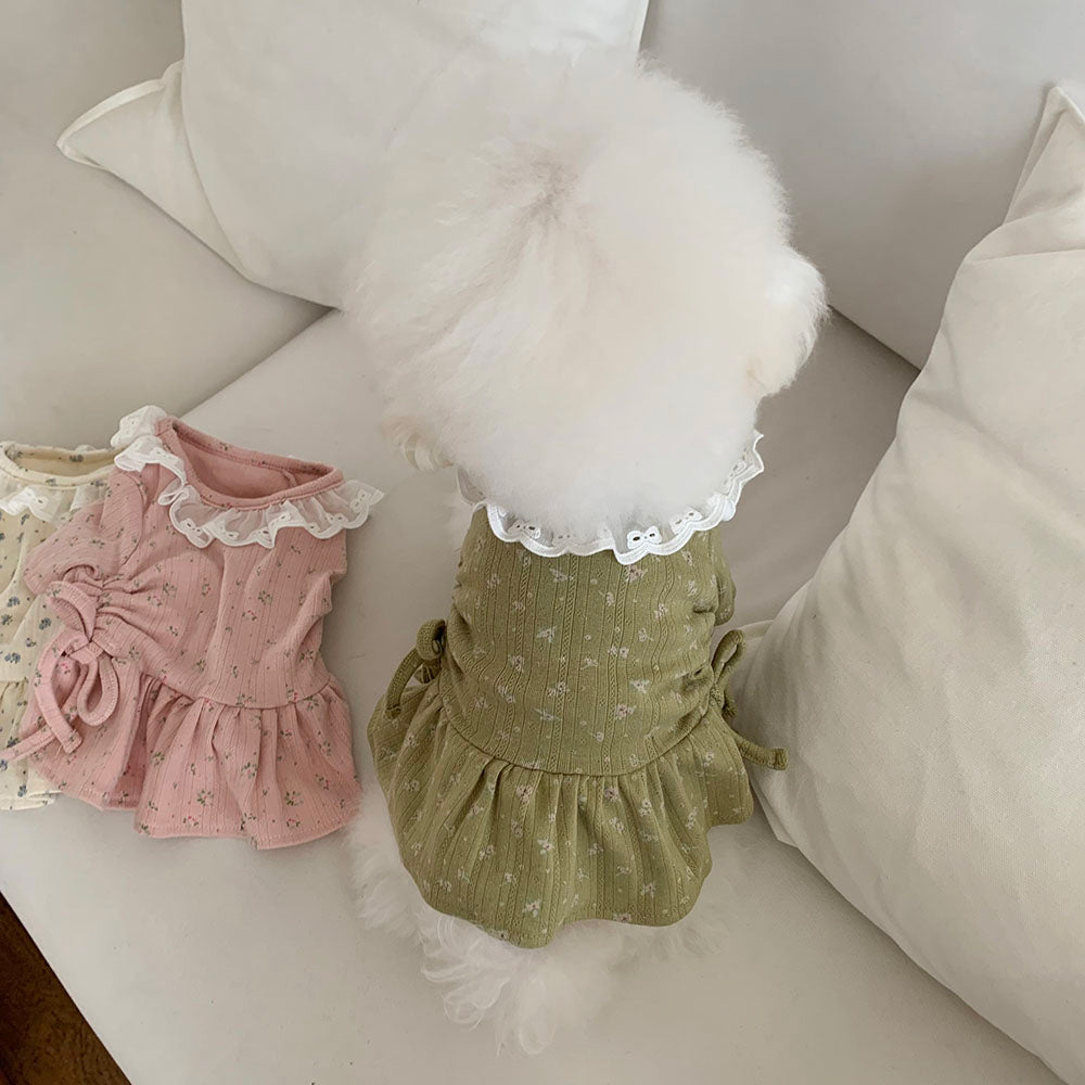Lace Collar Shirred Dress (3 colors)