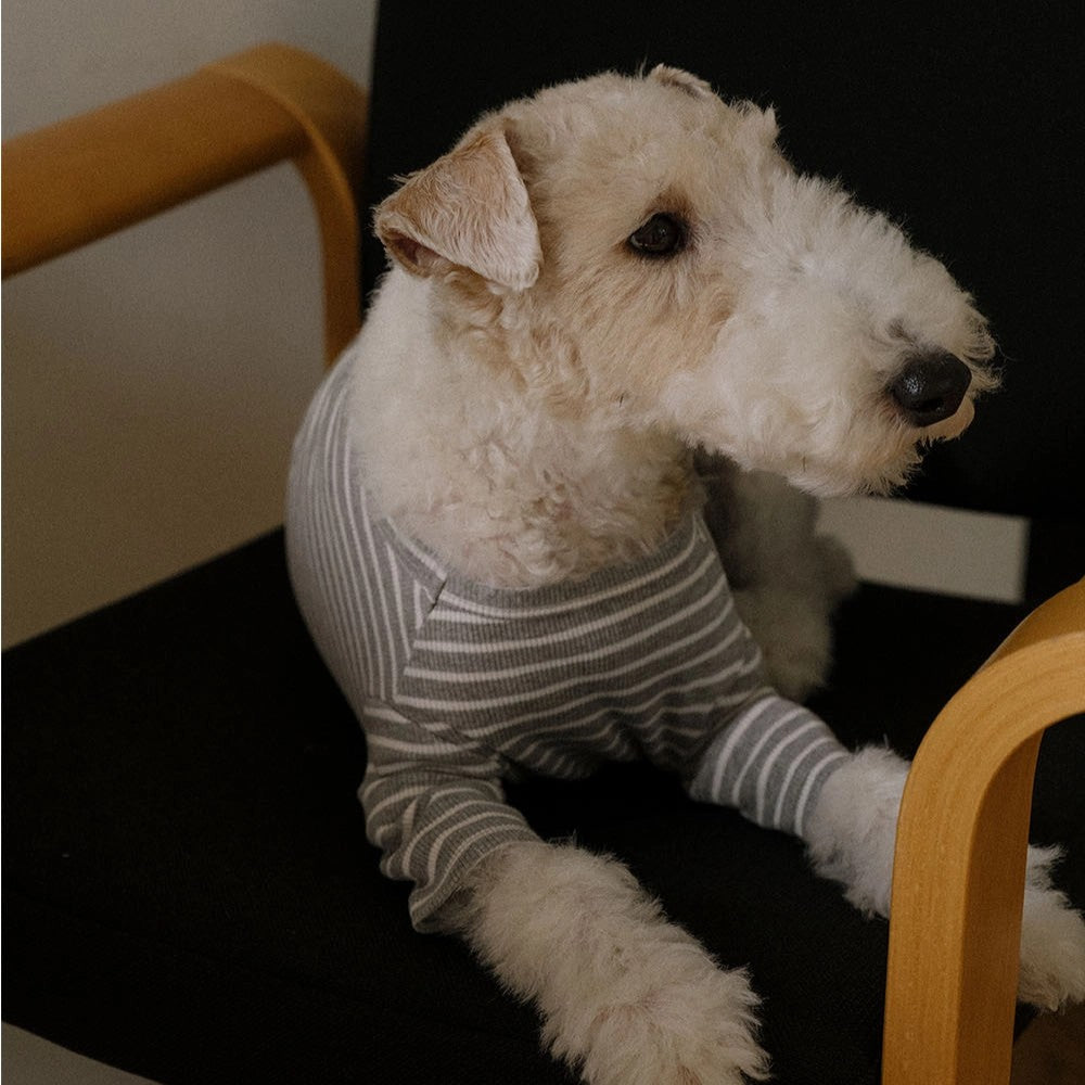 Striped T-Shirt (Grey)