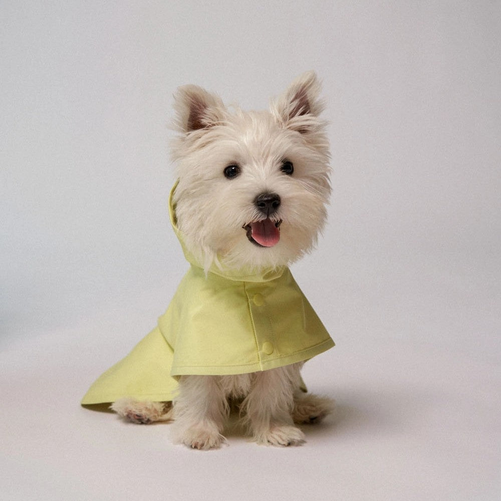 City Walk Rain Poncho Lemon