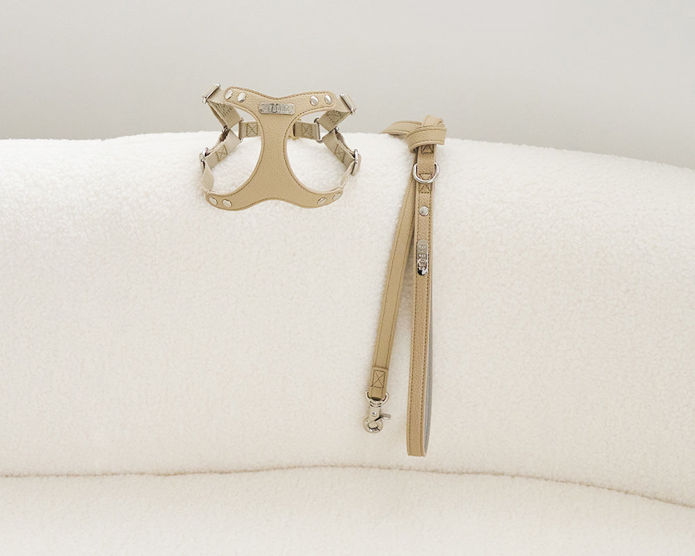 Delight 1.5M Leash (4 colors) preorder