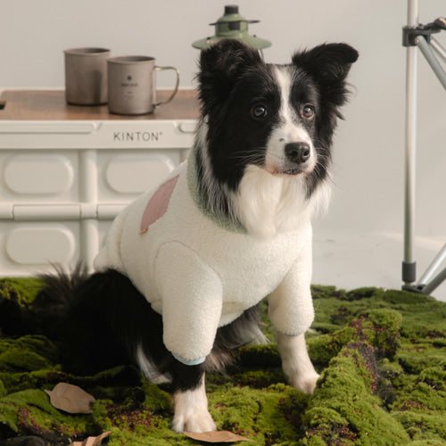 Winter Palette Fleece T-shirt (3 colors)