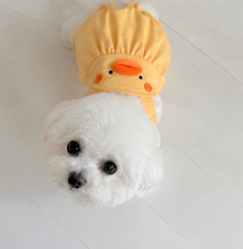 Chick Suspender Dress & Onesie