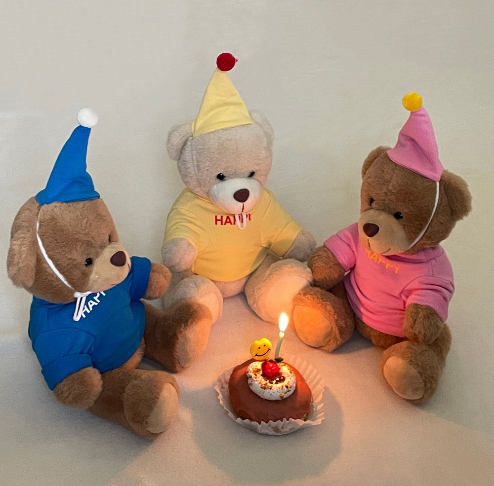 Birthday Celebration Set (3 colors)