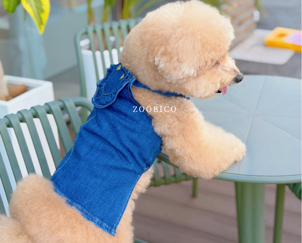 Washed Denim Onesie & Dress