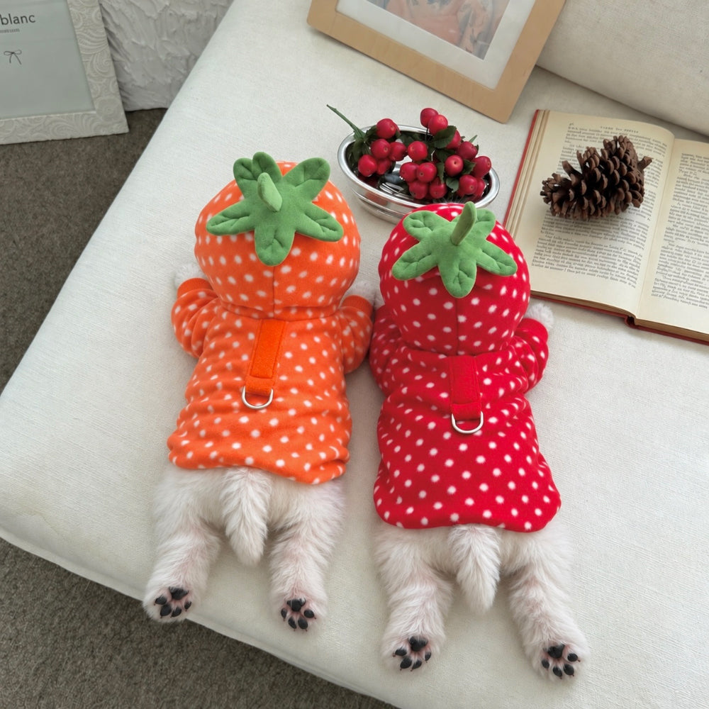 Fruity Dot Fleece Jacket (2 colors)