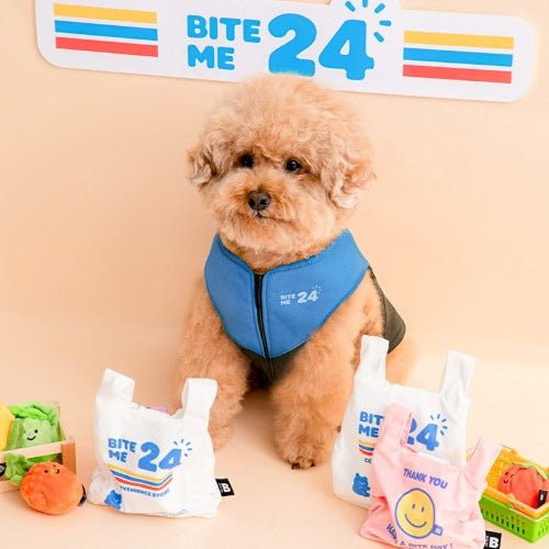 Crinkle Vinyl Bag Toy (2colors)