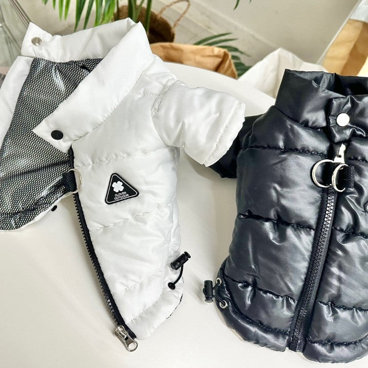 Outdoor Glossy Puffer Jacket (2 colors)