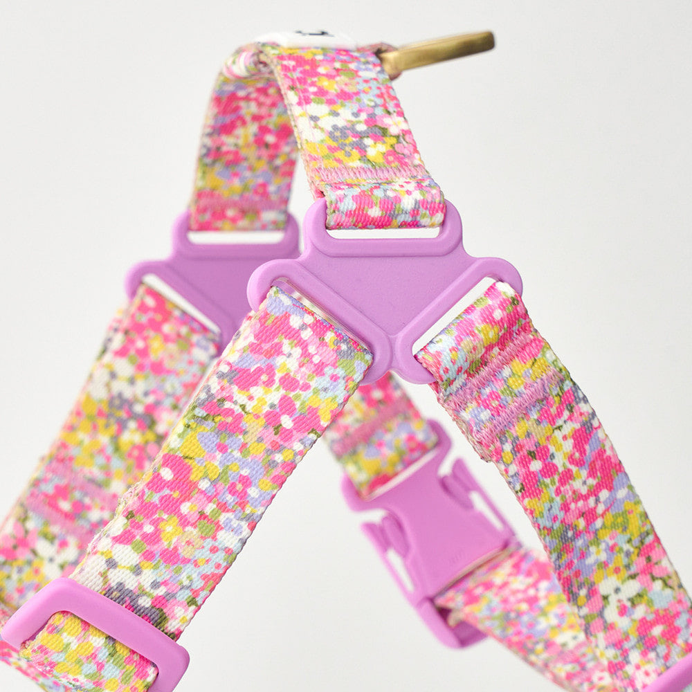 No-Pull Harness (Flora)