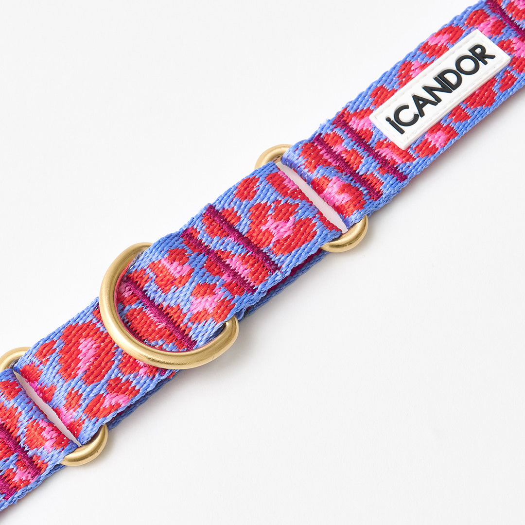 Martingale Collar Buckle (Leopard Lavender Blue)