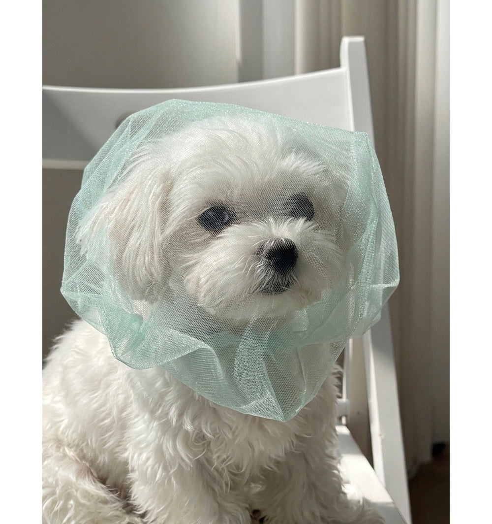 Face Mesh Cover (3 Sizes)