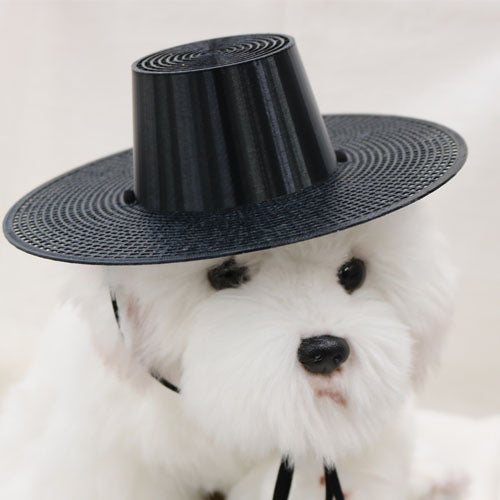 Seonbi Gat (Korean Scholar Hat)