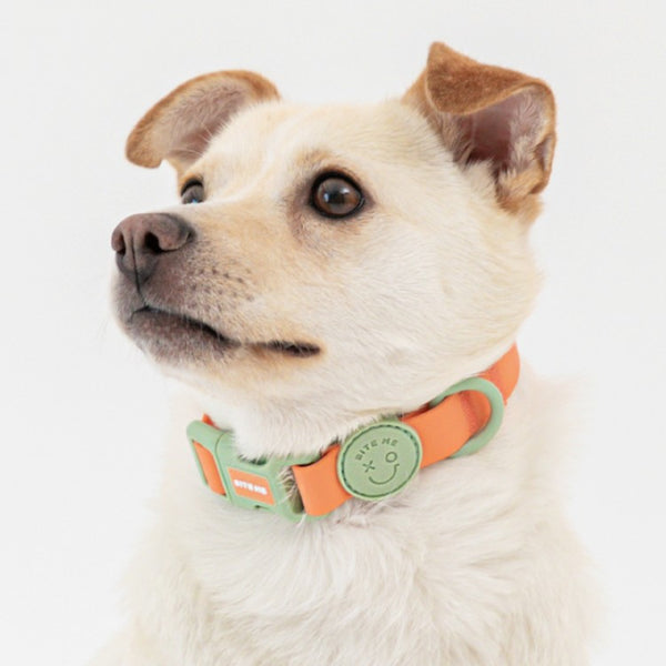 Macaron Waterproof Collar (4 colors)