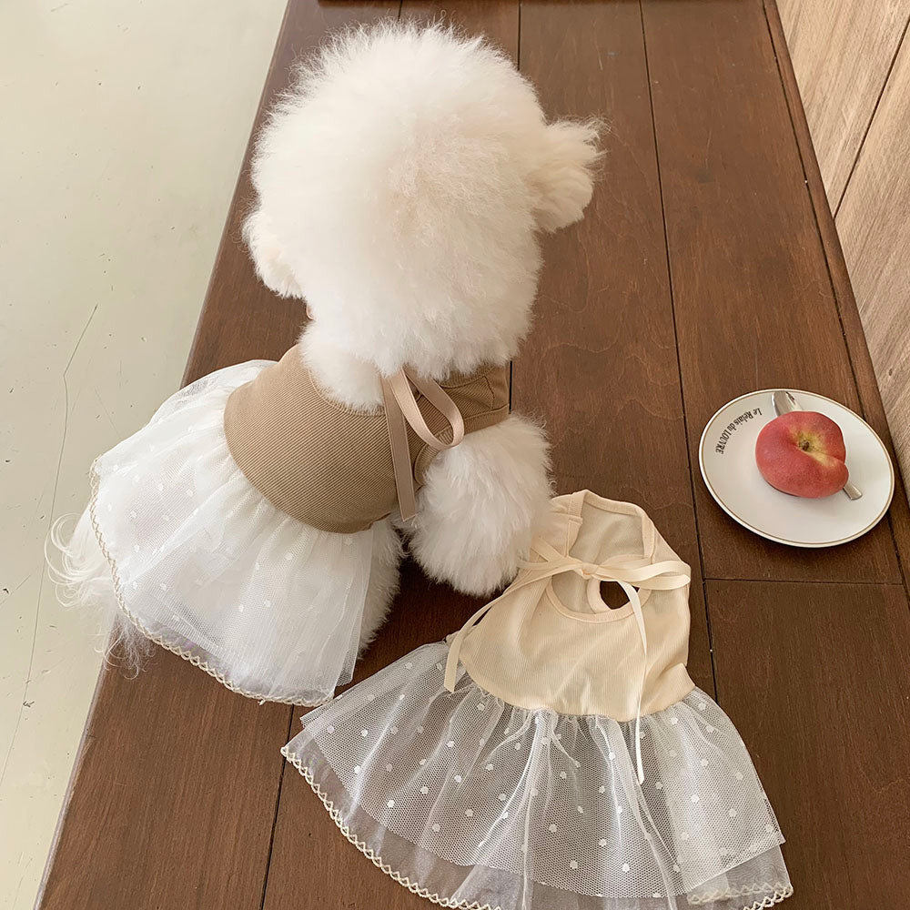 Ballet Ribbed Sleeveless Dress (2 colors)