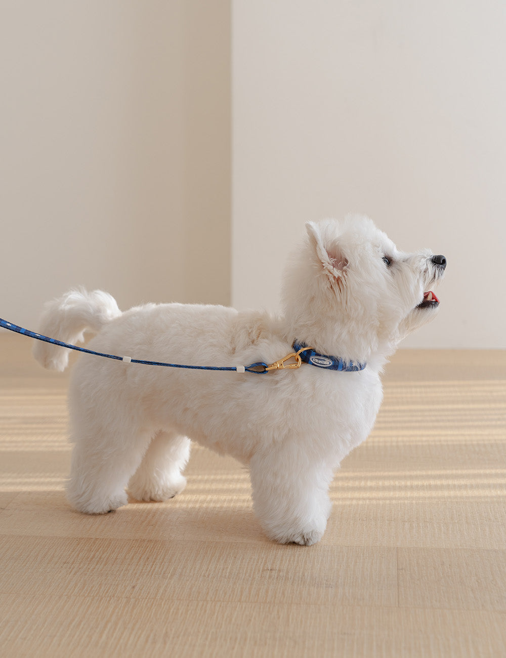 Stella Check Collar (2 colors)