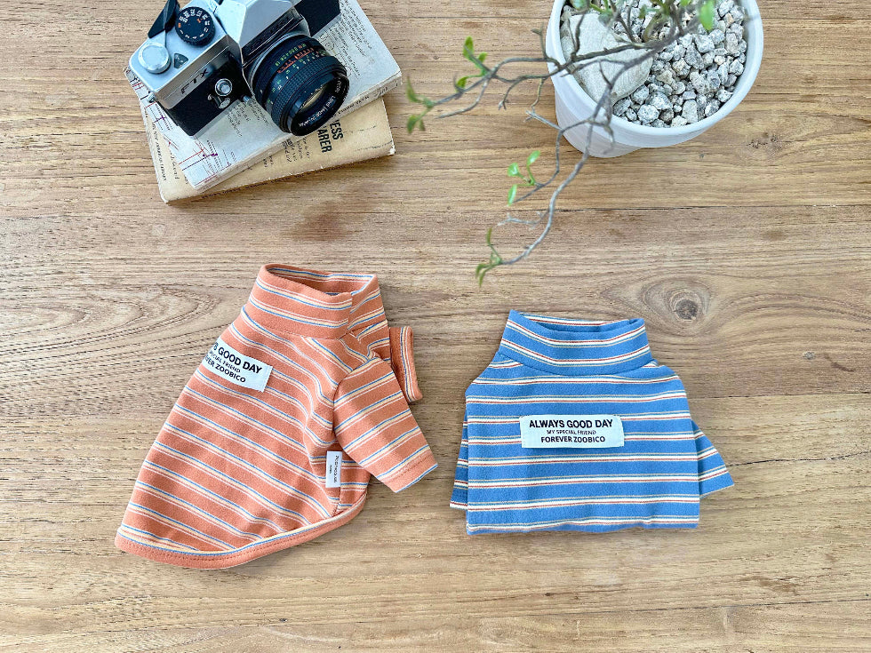 Good Day Stripe Turtleneck Tee (2 colors)