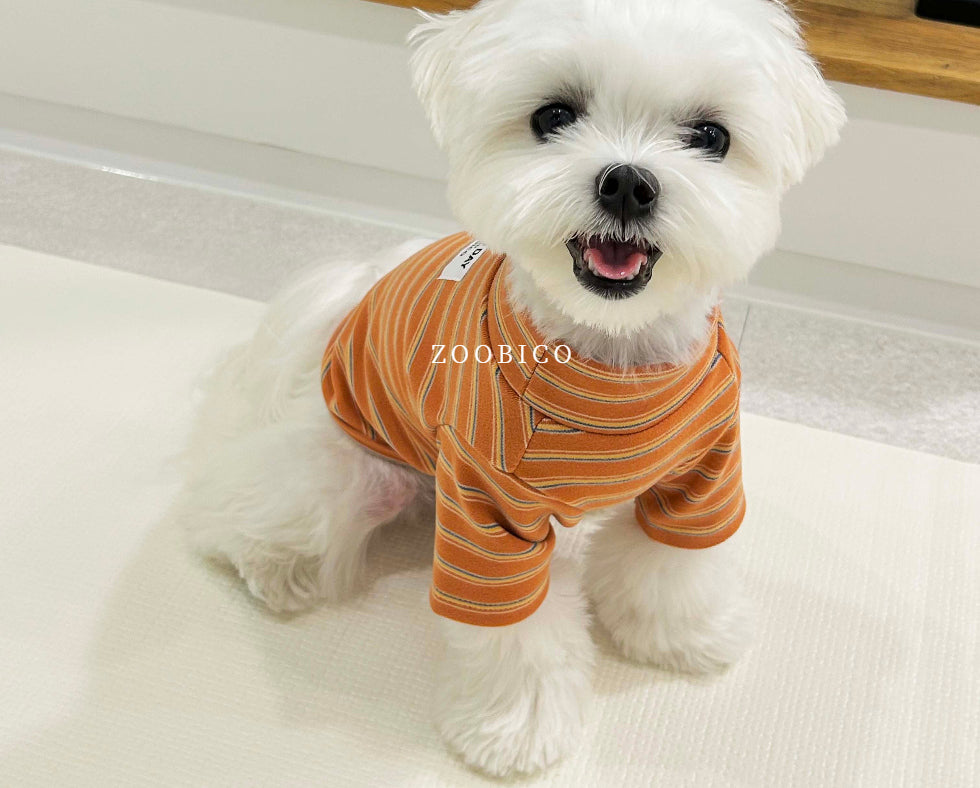 Good Day Stripe Turtleneck Tee (2 colors)