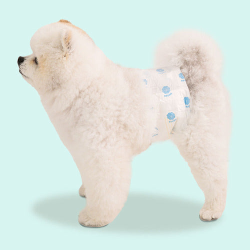 Bosom Dog Diapers - Male (S ~ XL)