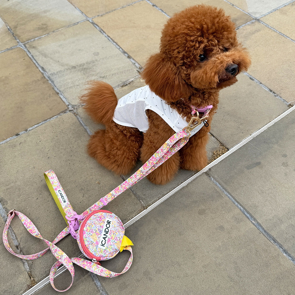 Martingale Collar Buckle (Flora)