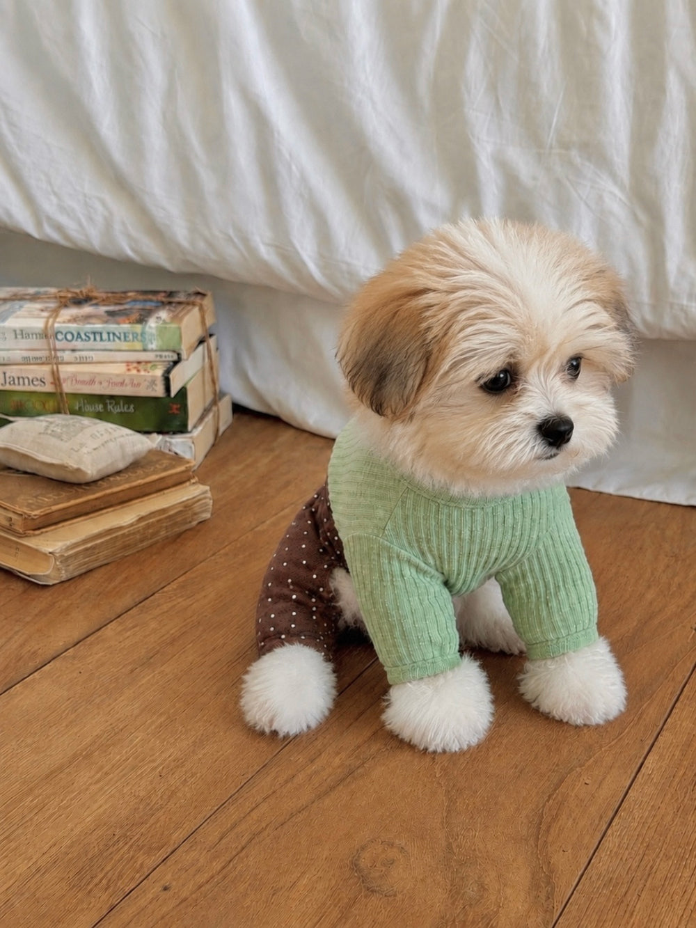 Bebe Polka Dog Onesie (3 colors)