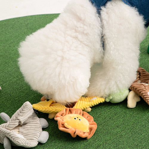 Crinkle Pocket Cape Toy (3 types)