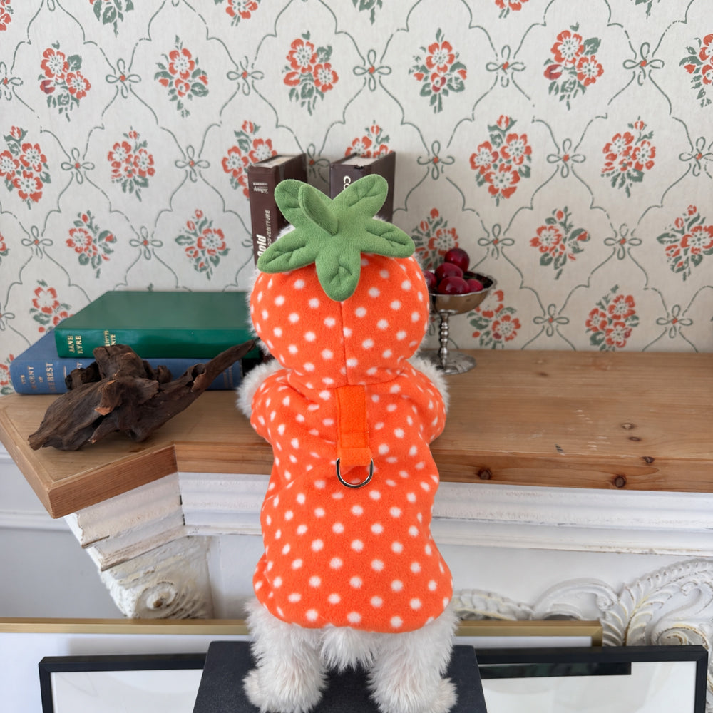 Fruity Dot Fleece Jacket (2 colors)