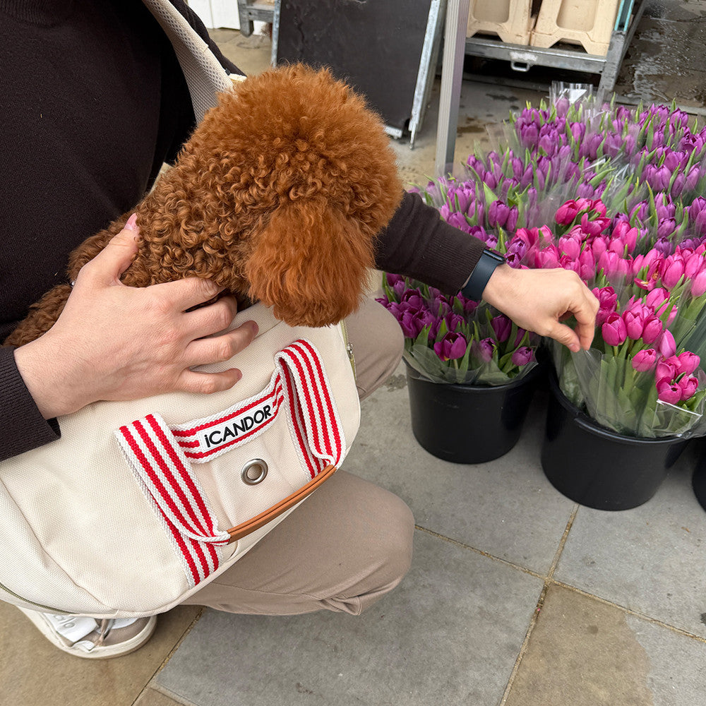 PEEK-A-BOO Pet Sling Bag (Capri)