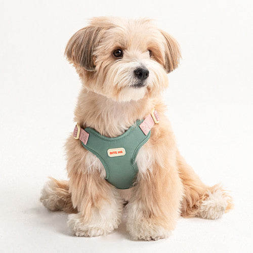 Comfort Harness (3 colors)