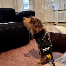 No-Pull Harness (Polka Dot)