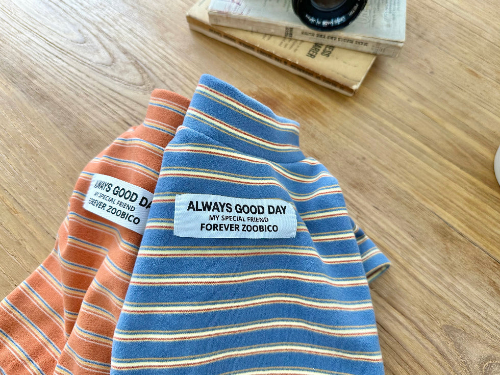 Good Day Stripe Turtleneck Tee (2 colors)