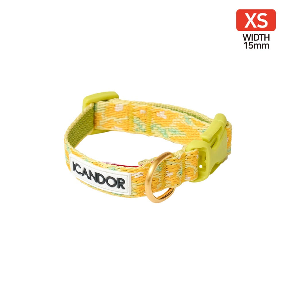 Gentle Collar XS 15mm (Big Fish Yellow) – Our Haru