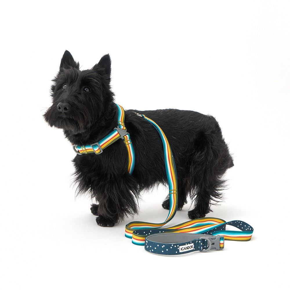 No-Pull Harness (Ripple)