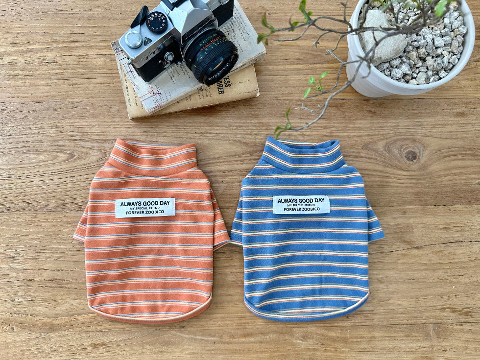 Good Day Stripe Turtleneck Tee (2 colors)