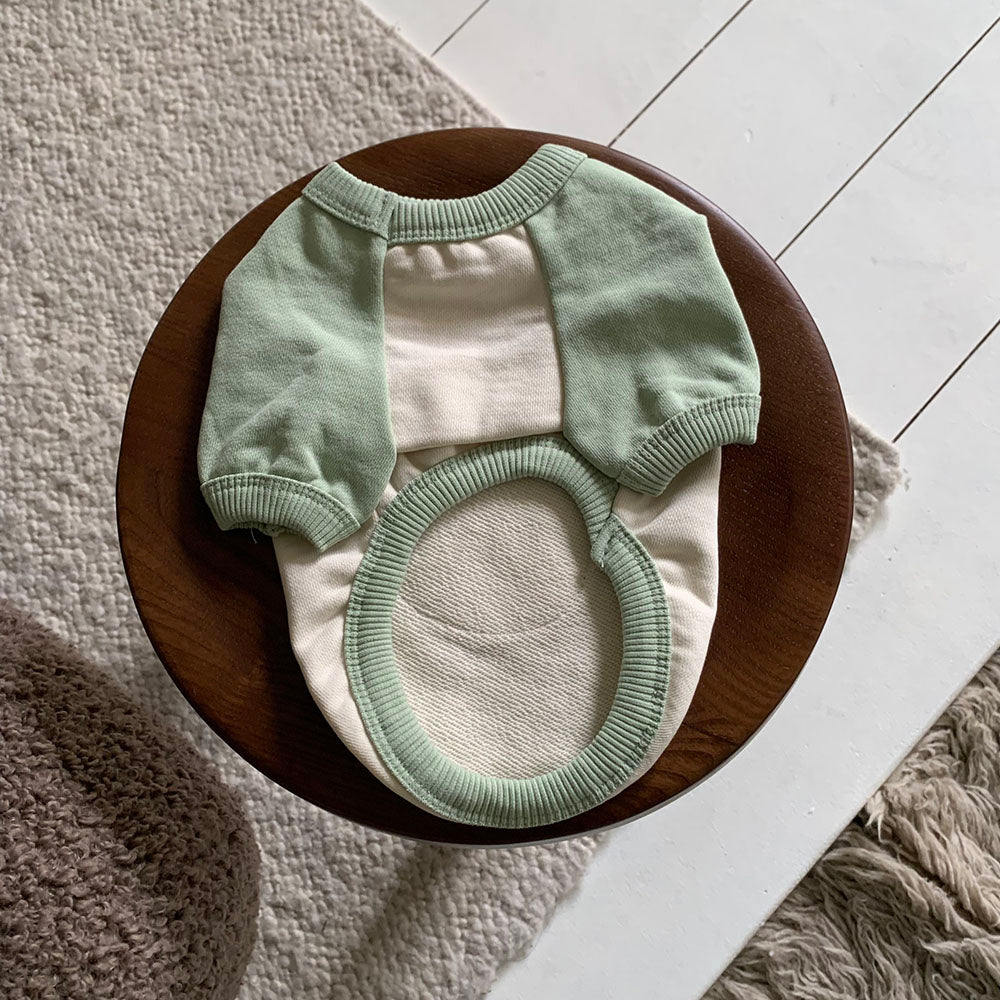 Bear Patch Raglan Sweatshirt (4 colors)