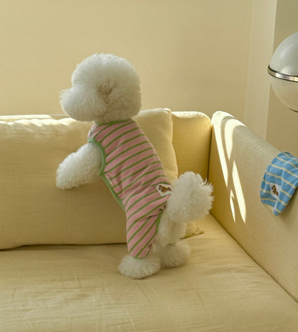 Little Pony Button Onesie (2 colors)