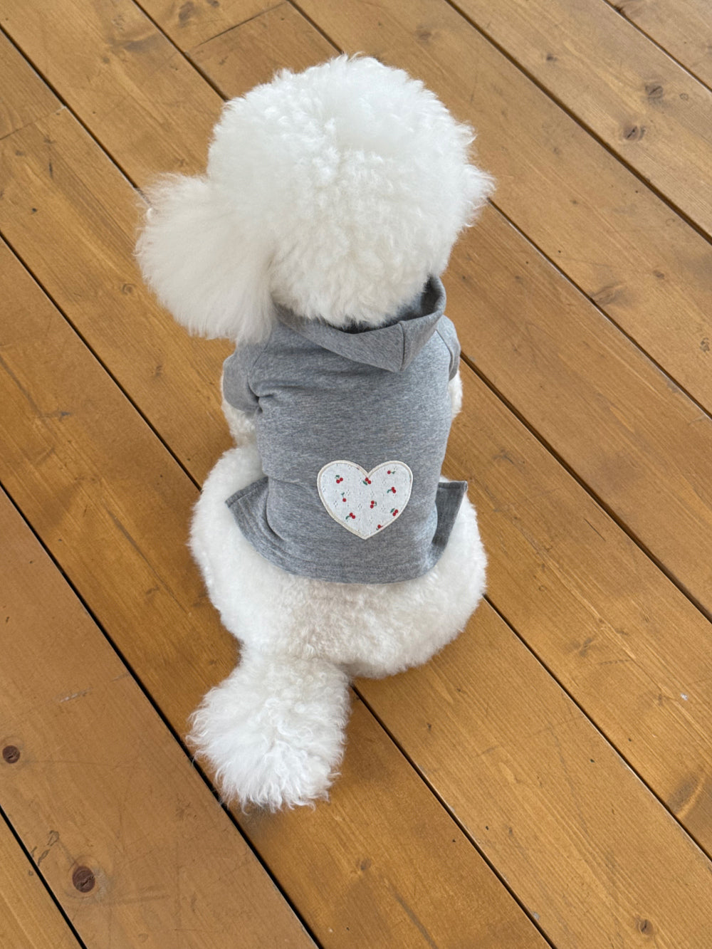 Cloud Sweatshirt (2 colors)