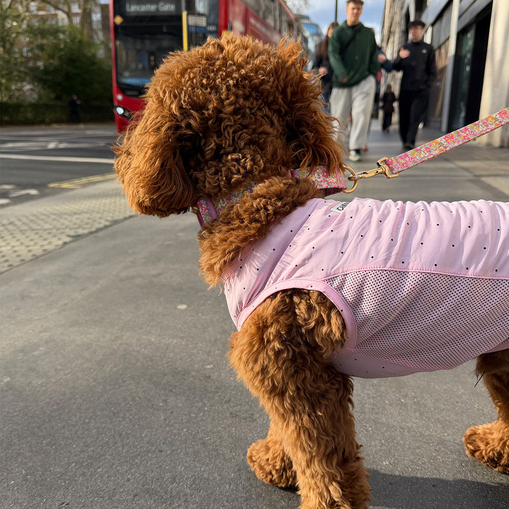 Ocean Cooling Vest (Candy Pink)