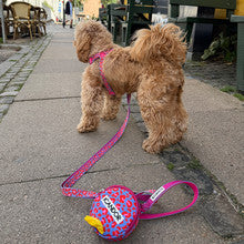 No-Pull Harness (Leopard Lavender Blue)