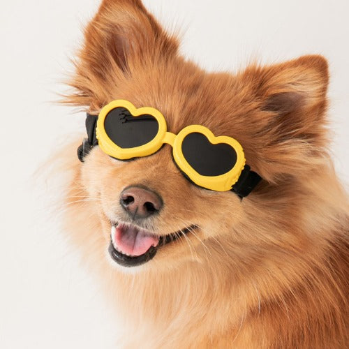 CBF Lovey Dovey Hear Goggles (5 colors)