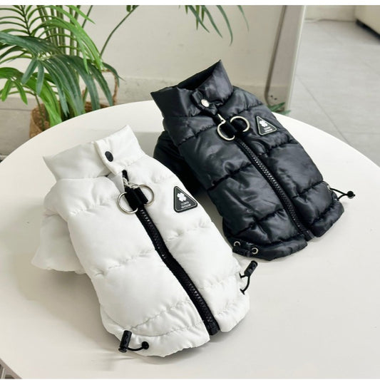 Outdoor Glossy Puffer Jacket (2 colors)
