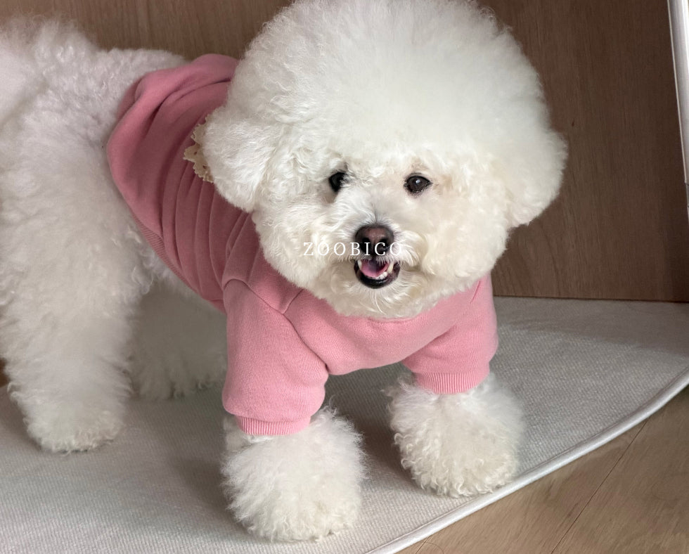 Cuteness Lace Sweatshirt (2 colors)