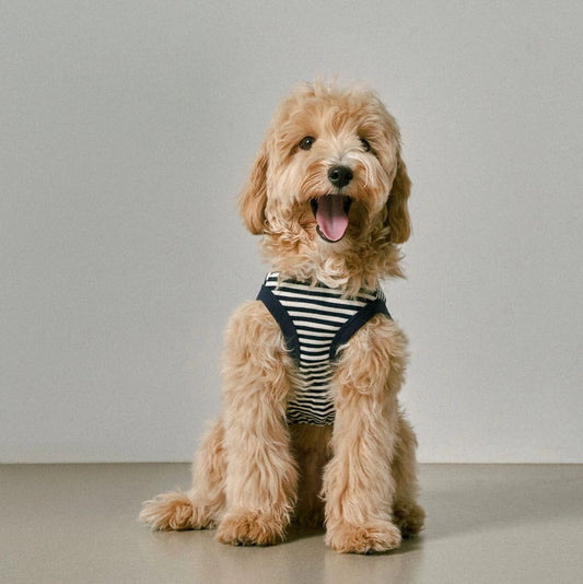 Striped Sleeveless Black