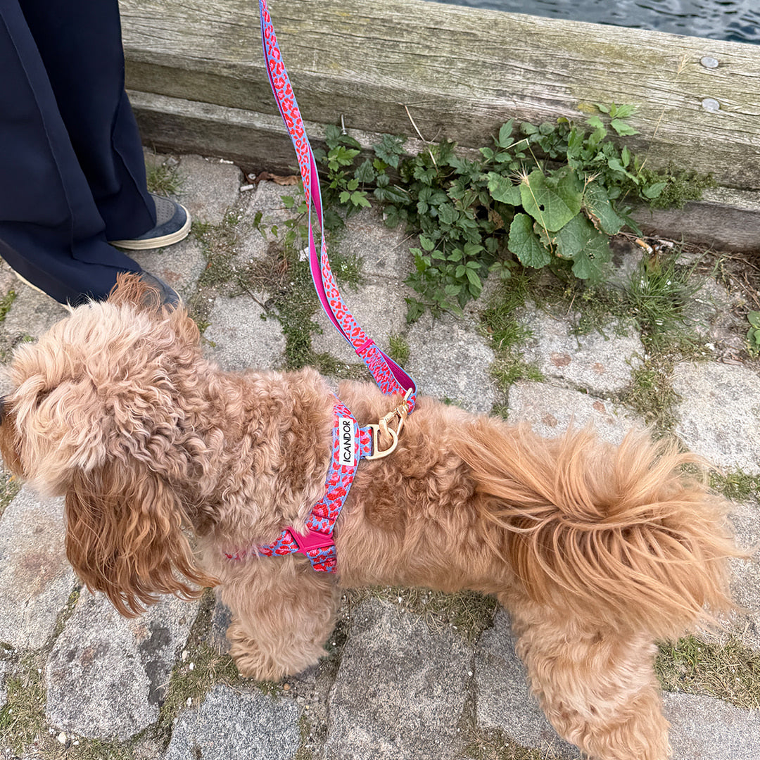 Gentle Leash Bolt, Long (Leopard Lavender Blue)