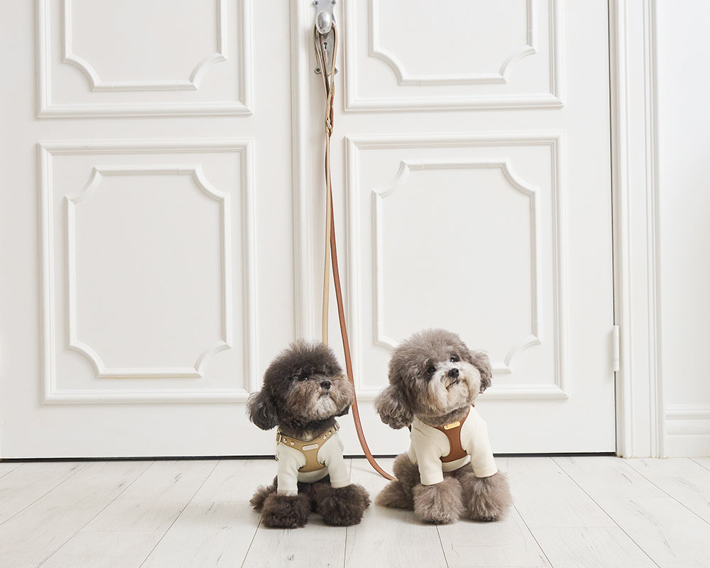 Delight 1.5M Leash (4 colors) preorder