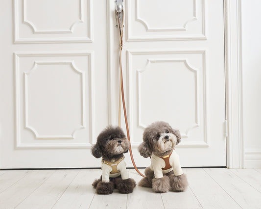 Delight 1.5M Leash (4 colors) preorder