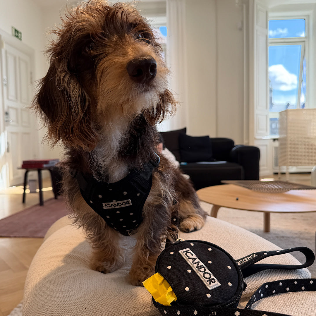 Snuggle Harness (Polka Dot)
