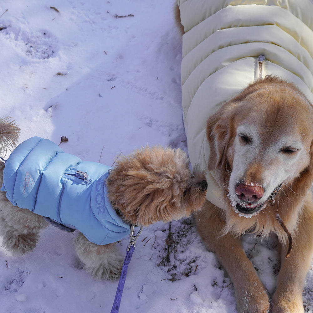 Thermo 3 Adventure Padding (Gentle Blue) Preorder