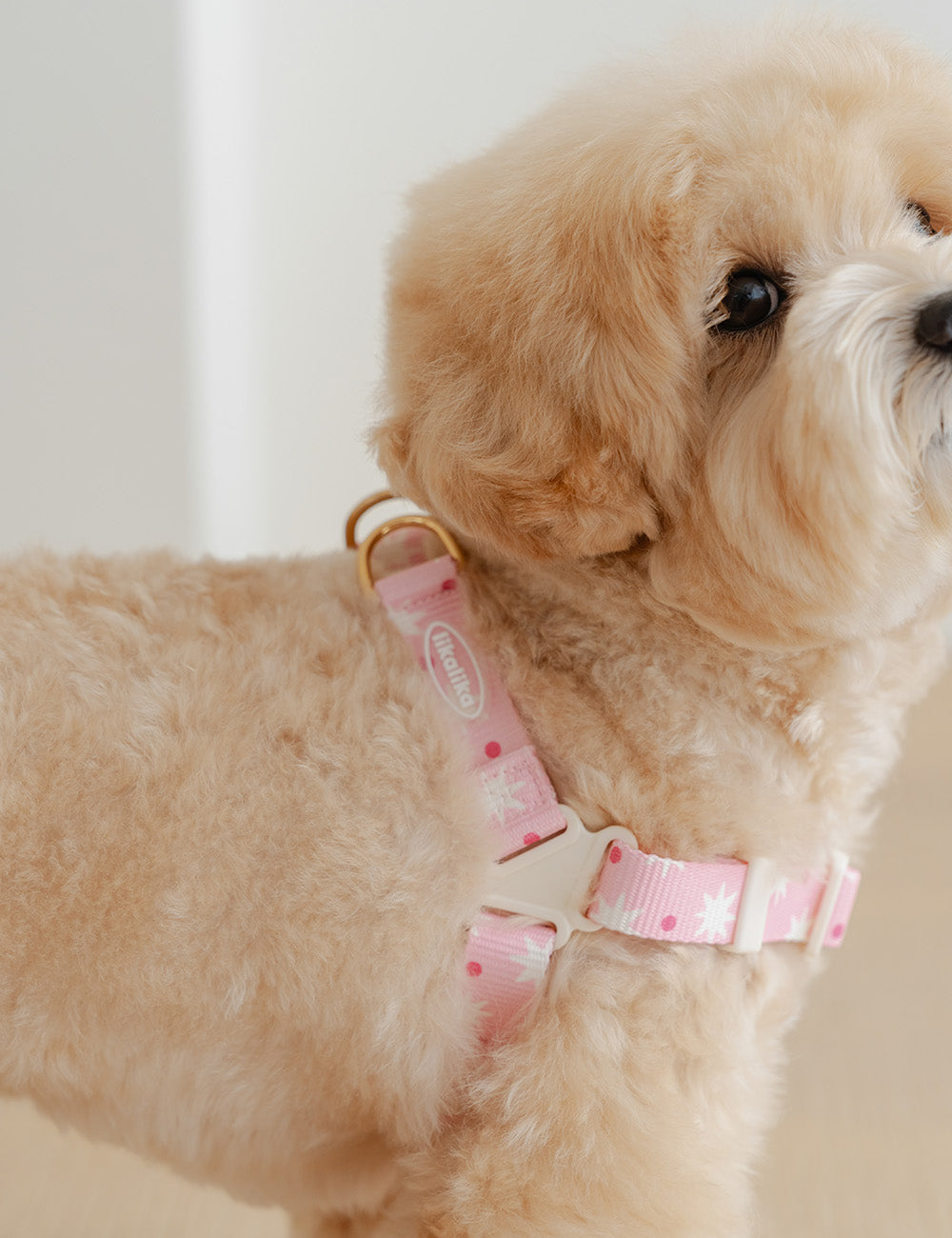 Stella Star Pop Dot Harness L-Shape (2 colors)